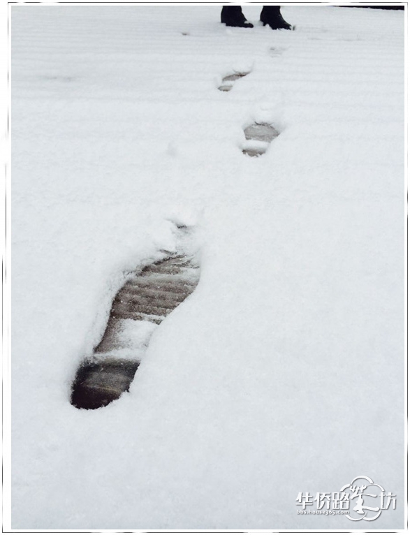 印在软绵绵的雪上面的手印和脚印是不是非常有爱呢