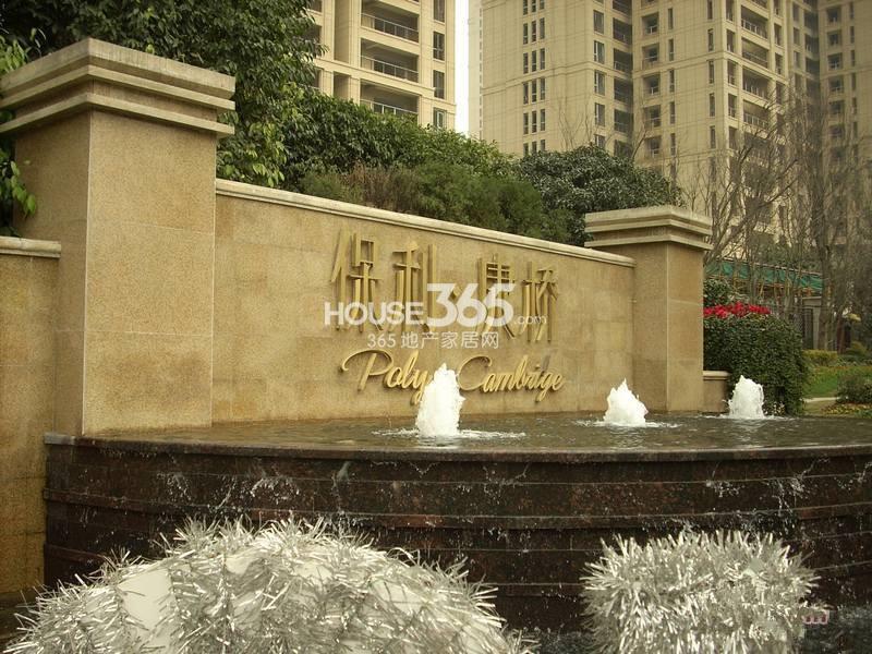 3月金渐层咋那么灰