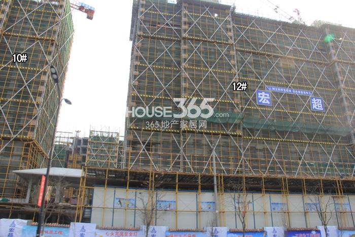 绿城蓝庭项目10、12号楼施工进程图（2015.2）