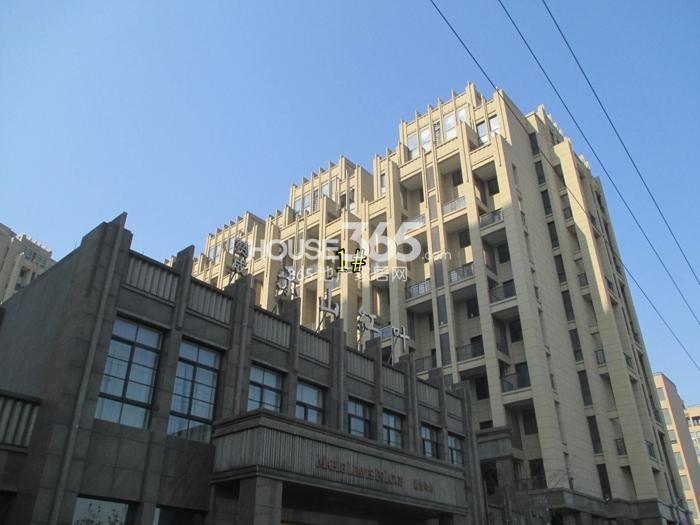 赞成乐山红叶项目1号楼实景图（2015.2）