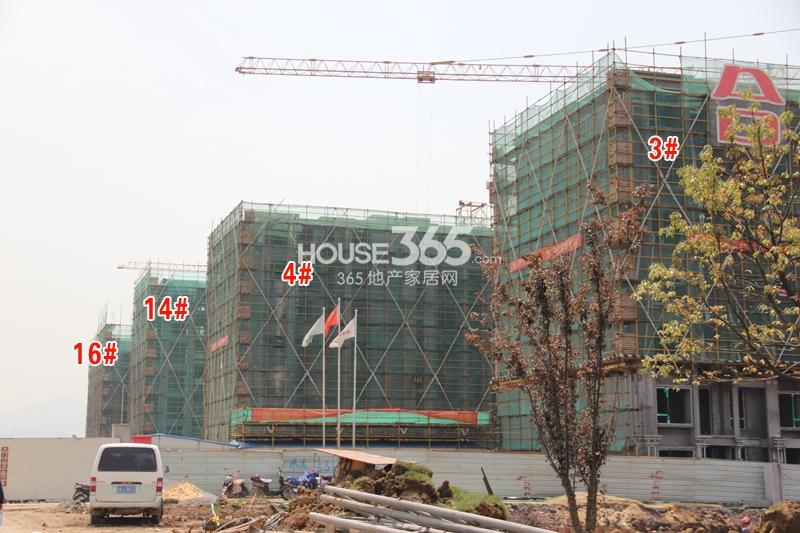合景叠彩园项目3、4、14、16号楼施工进程（2015.4）