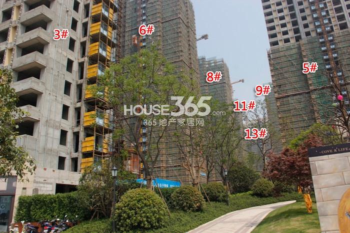 融科瑷颐湾3、5、6、8、9、11、13号楼施工实景图 2015年5月摄