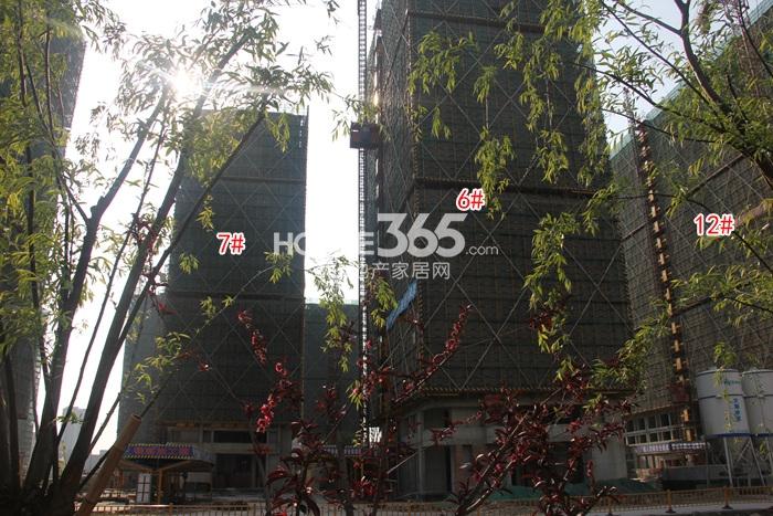 高运莱茵传奇6、7、12号楼施工进度 2015年5月摄