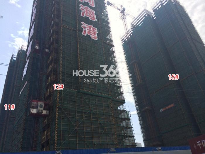 农房尚海湾12、11、15号楼实景图 2015年5月摄
