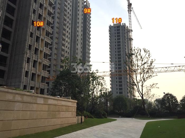 融科瑷颐湾9、10、11号楼施工实景图 2015年7月摄