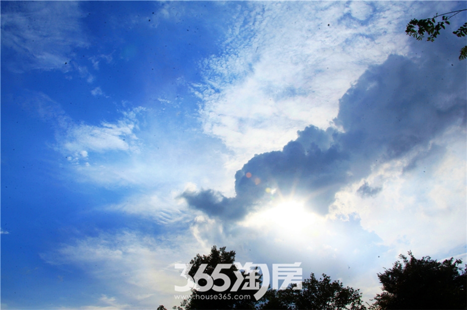 碧桂园上空现“日晕”奇观（2015年8月摄）