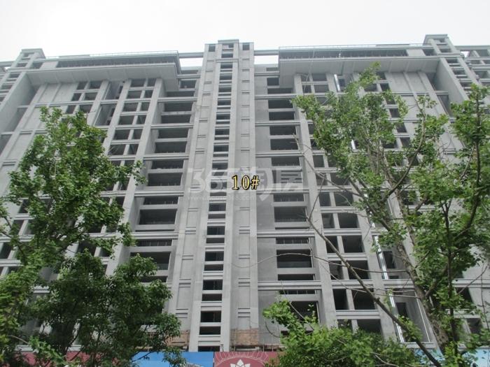 高运莱茵传奇10号楼施工进度实景图  2015年8月摄