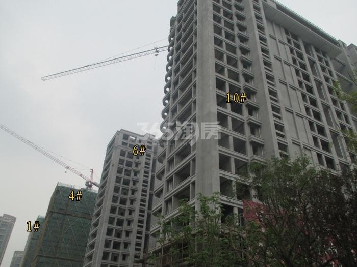 高运莱茵传奇1、4、6、10号楼施工进度实景图  2015年8月摄