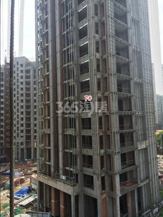 2015年9月滨江钱塘印象项目实景--7号楼