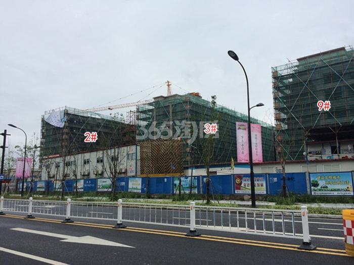 朗诗花漫里项目2、3、9号楼施工进程图（2015.9）