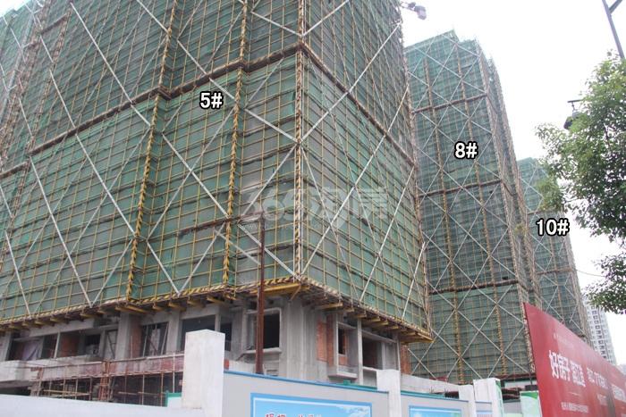 滨江万家名城二期5、8、10号楼施工实景图 2015年9月摄