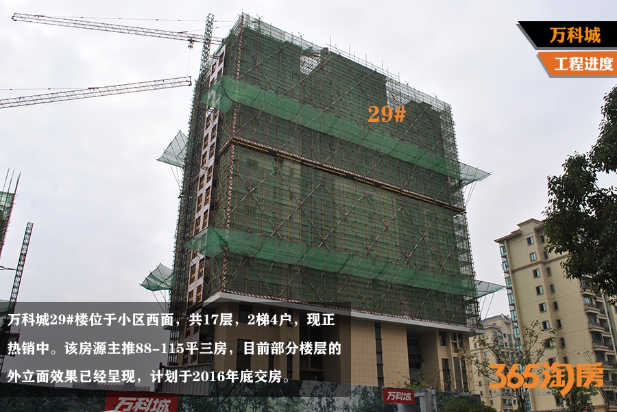 万科城29#楼工程进度（2015.12摄 ）