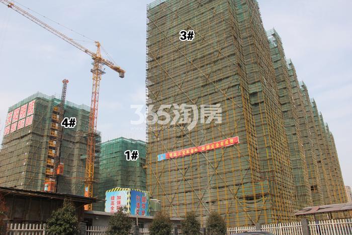 天阳明朗1、3、4号楼施工实景图 2016年3月摄