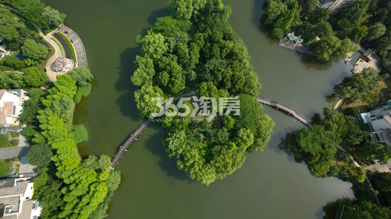 西溪风情花园观止苑景观鸟瞰图